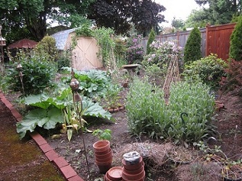 garden