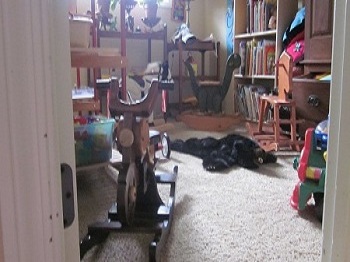 boy's room
